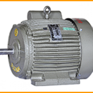 Suguna Pumps Electric Motor