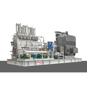 Flowserve Pumps Reciprocating Pumps - VQE