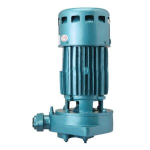 Usha Pumps Deep Well Jet