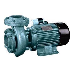 V Guard Pumps Centrifugal Pumps With Extended Shaft
