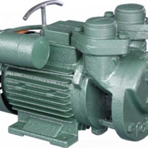 Point Pumps Regenerative Pump