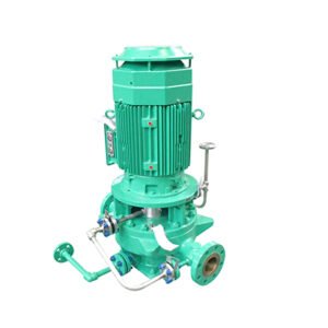 Ebara Pumps Model LPW/LPWM