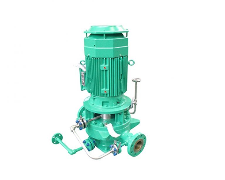 Ebara Pumps Model LPW/LPWM