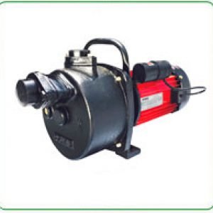 Oswal Pumps Shallow Well Pumps