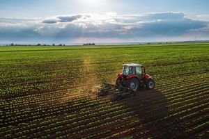 agriculture industry