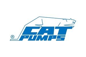 cat pump cat pump