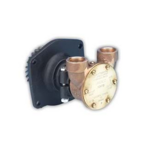 10970 Flange Mount 3/4" Pump