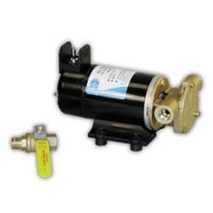 17830 Series Reversible Bronze DC Pump